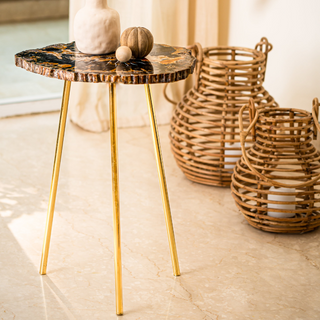 Petrified Wood Black Coffee Table: Natural Elegance for Your Living Space