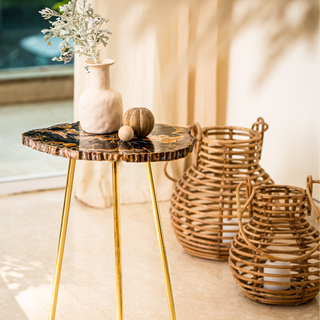 Petrified Wood Black Coffee Table: Natural Elegance for Your Living Space