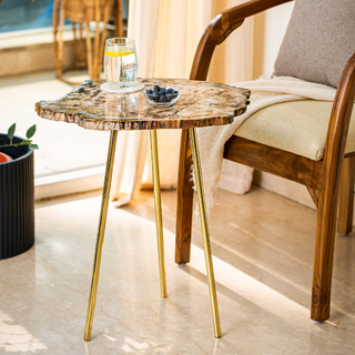 Petrified Wood Brown Coffee Table