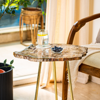 Petrified Wood Brown Coffee Table